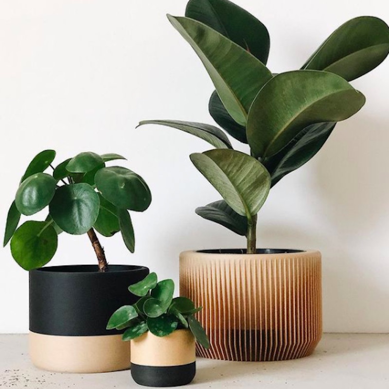 Un grand nombre de produits variés sur nos décorations, 100% naturel.
